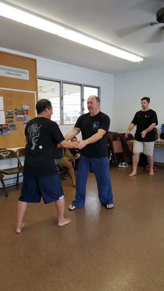 sangenkai-hawaii-intensive-december-2015-84.jpg