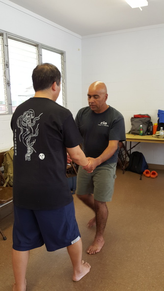 sangenkai-hawaii-intensive-december-2015-87.jpg