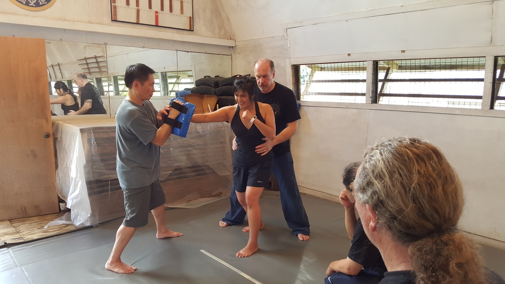 December 2015 Sangenkai Workshop in Hawaii with Dan Harden