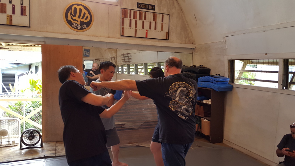 December 2015 Sangenkai Workshop in Hawaii with Dan Harden