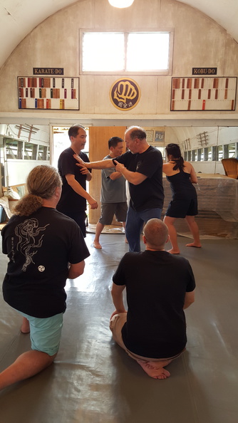 sangenkai-hawaii-intensive-december-2015-99.jpg