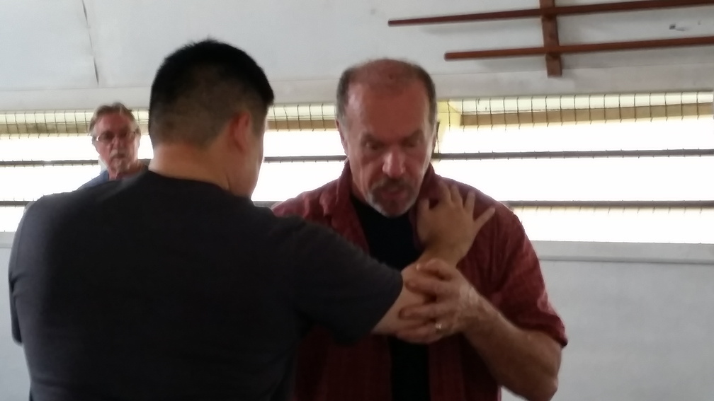 First Sangenkai Intensive Workshop in Hawaii - March 2015