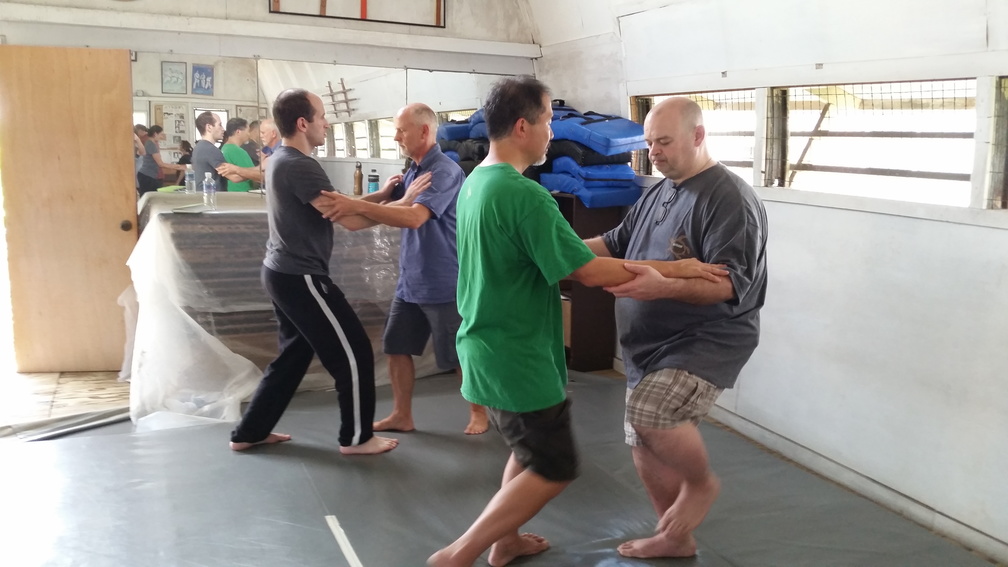 First Sangenkai Intensive Workshop in Hawaii - March 2015