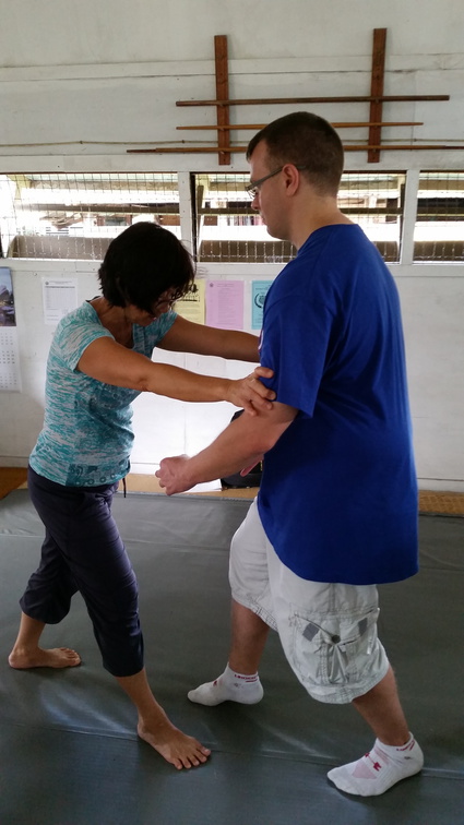 First Sangenkai Intensive Workshop in Hawaii - March 2015