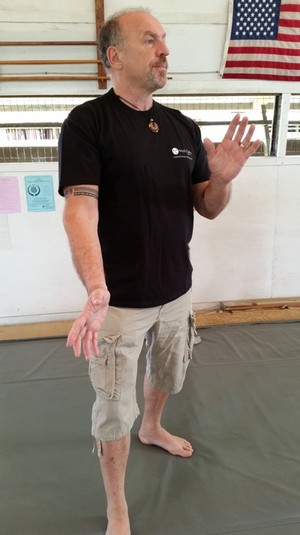 First Sangenkai Intensive Workshop in Hawaii - March 2015