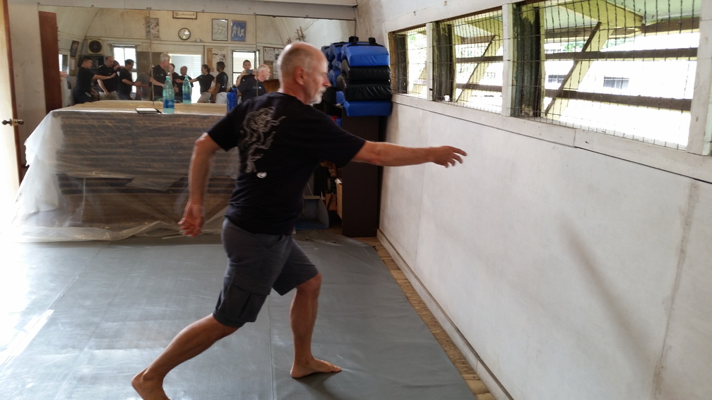 First Sangenkai Intensive Workshop in Hawaii - March 2015