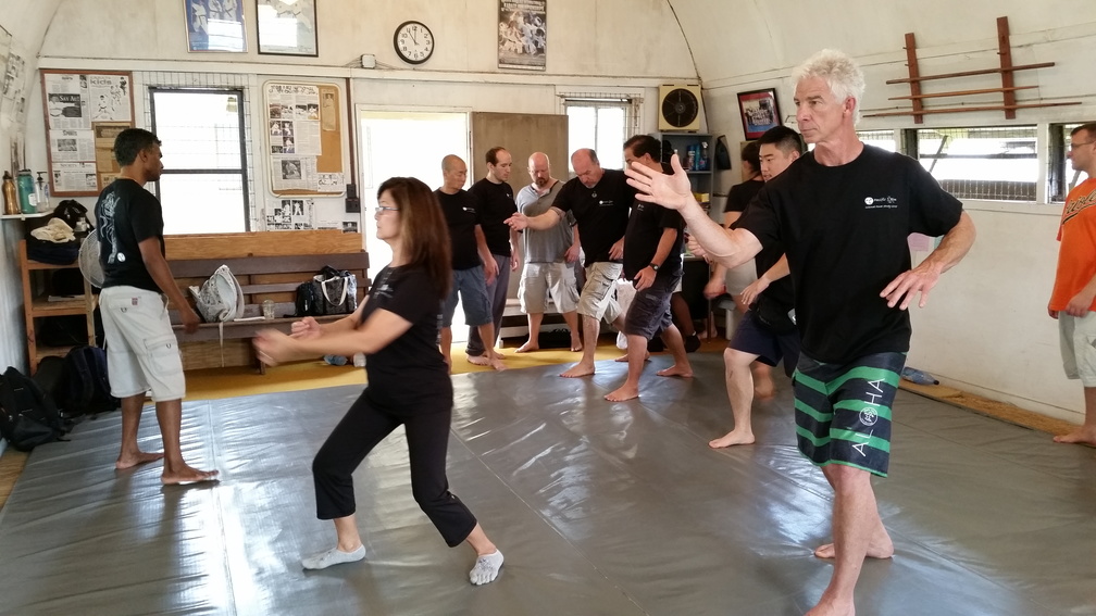 First Sangenkai Intensive Workshop in Hawaii - March 2015