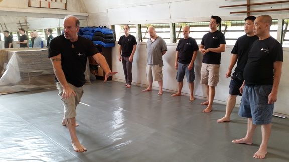 First Sangenkai Intensive Workshop in Hawaii - March 2015