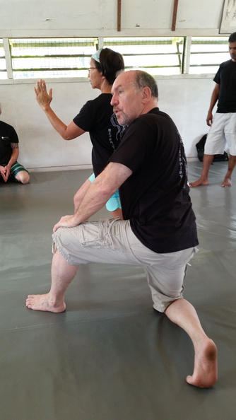 First Sangenkai Intensive Workshop in Hawaii - March 2015