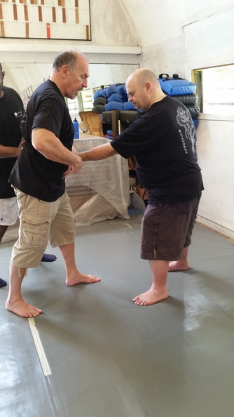 First Sangenkai Intensive Workshop in Hawaii - March 2015