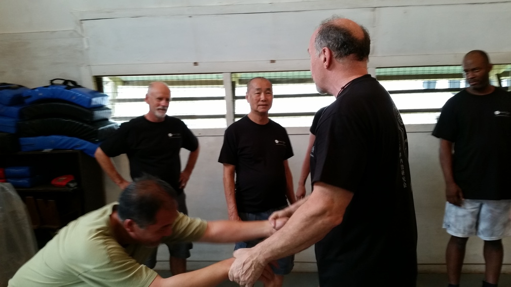 First Sangenkai Intensive Workshop in Hawaii - March 2015