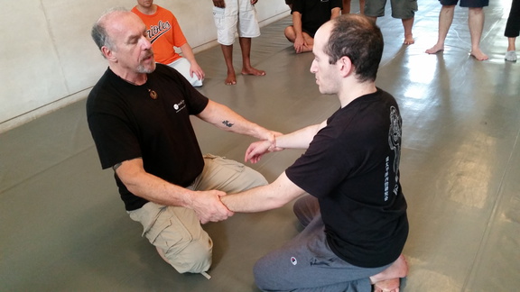 First Sangenkai Intensive Workshop in Hawaii - March 2015