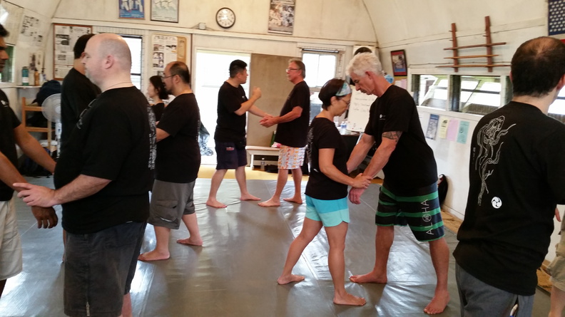 First Sangenkai Intensive Workshop in Hawaii - March 2015