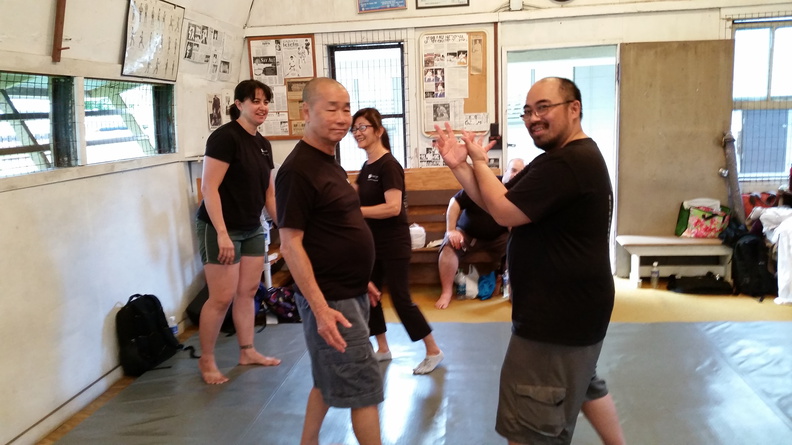 First Sangenkai Intensive Workshop in Hawaii - March 2015