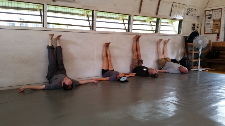 First Sangenkai Intensive Workshop in Hawaii - March 2015