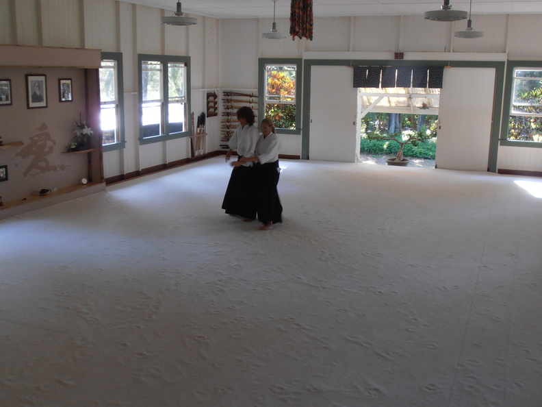 Kohala Aikikai German Visitors