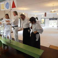 kohala-aikikai-kinzie.JPG