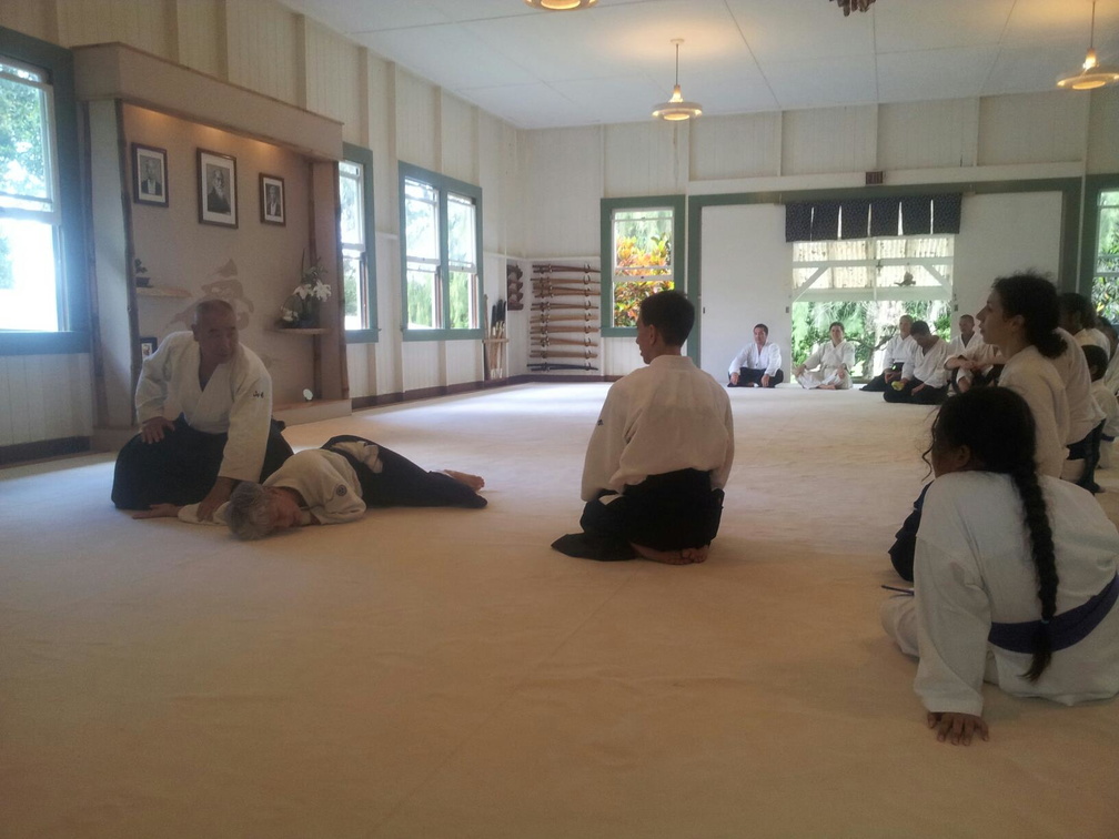 Kohala Aikikai - Translating