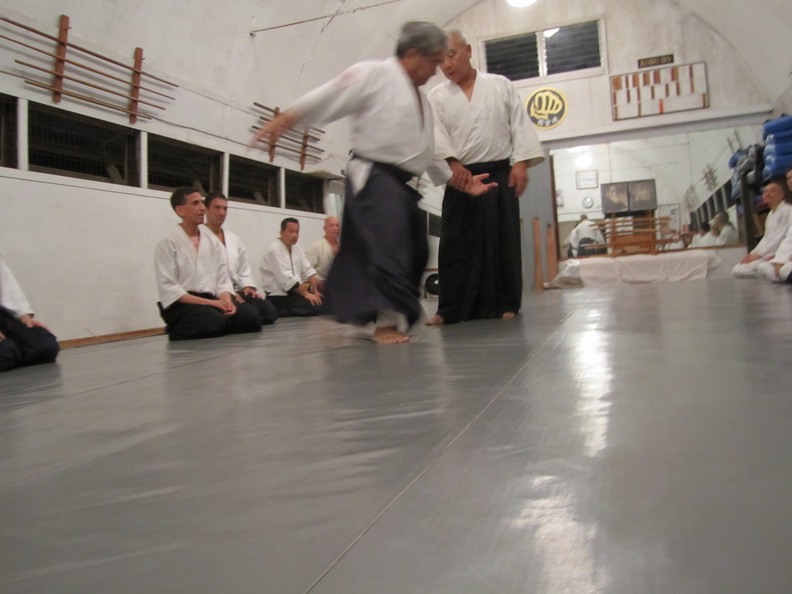 windward-aikido-yamashima-yoshida-2.jpg