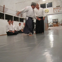 Windward Aikido Club - Translating