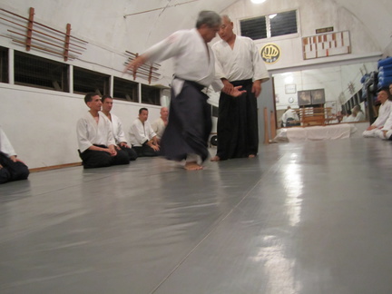 Windward Aikido Club - Translating