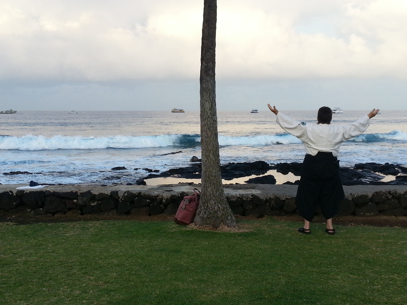 Barbara Klein, from Aikido of Hilo, warms up before morning weapons training at the 25th anniversary of Aiki Kai o Kona on the Big Island of Hawaii. barbara-klein-aikido.jpg