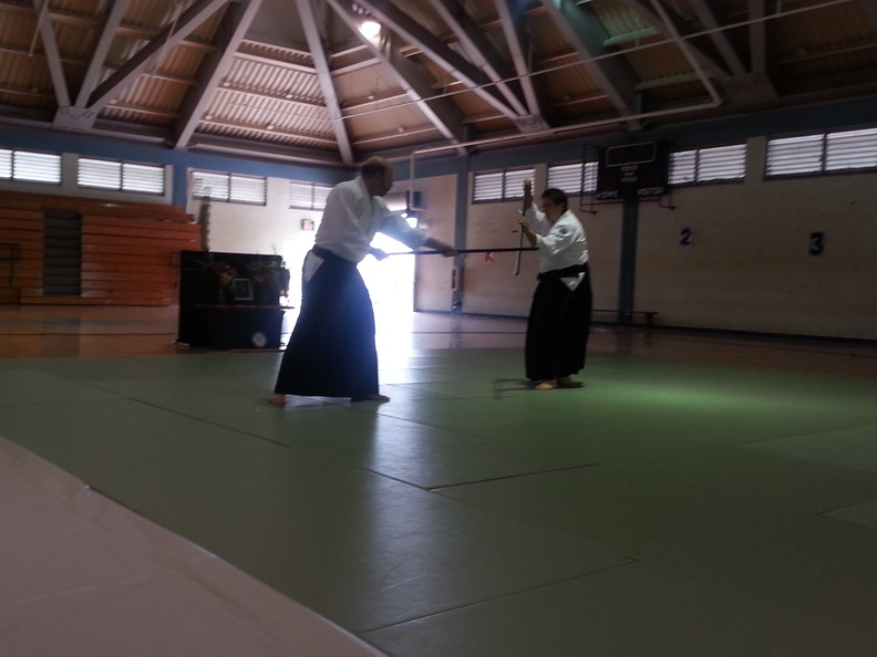 Barbara and Robert Klein Aikido Demonstration