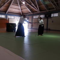 Barbara and Robert Klein Aikido Demonstration