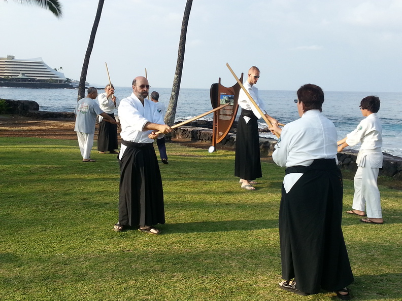 Barbara and Robert Klein, from Aikido of Hilo, at morning weapons training at the 25th anniversary of Aiki Kai o Kona on the Big Island of Hawaii. klein-hilo-sword.jpg