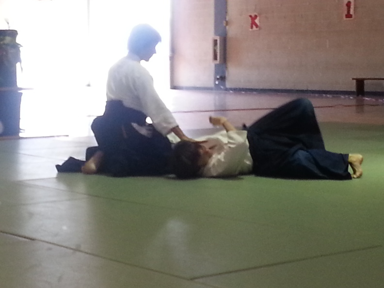 varjan-aikido-demo.jpg