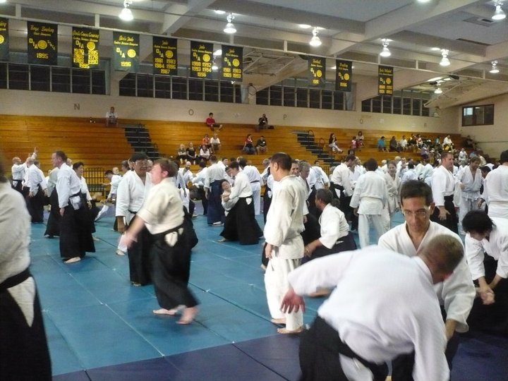 aikido-celebration-hawaii-keiko.jpg