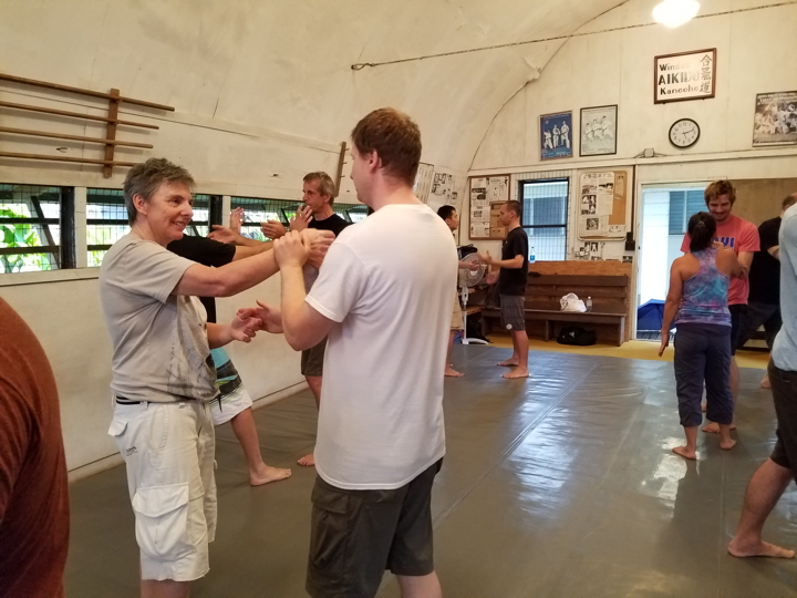 December 2016 Sangenkai Hawaii Workshop with Dan Harden