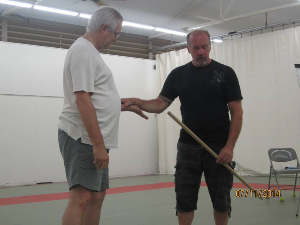 Dan Harden on in Hawaii - Aiki and Internal Power Workshop July 2014