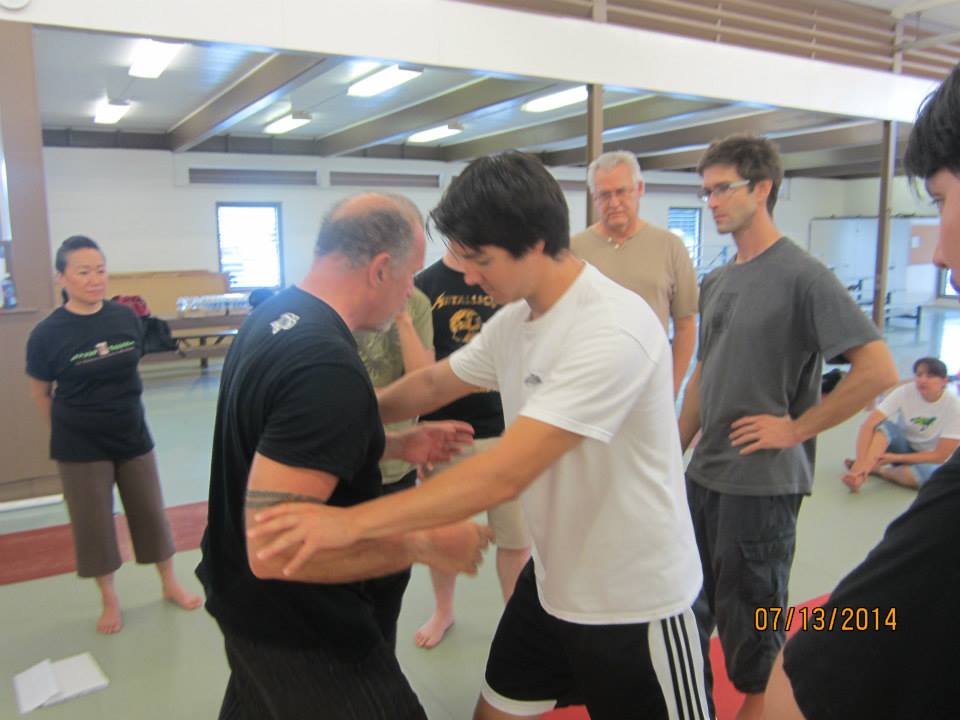 Dan Harden on in Hawaii - Aiki and Internal Power Workshop July 2014