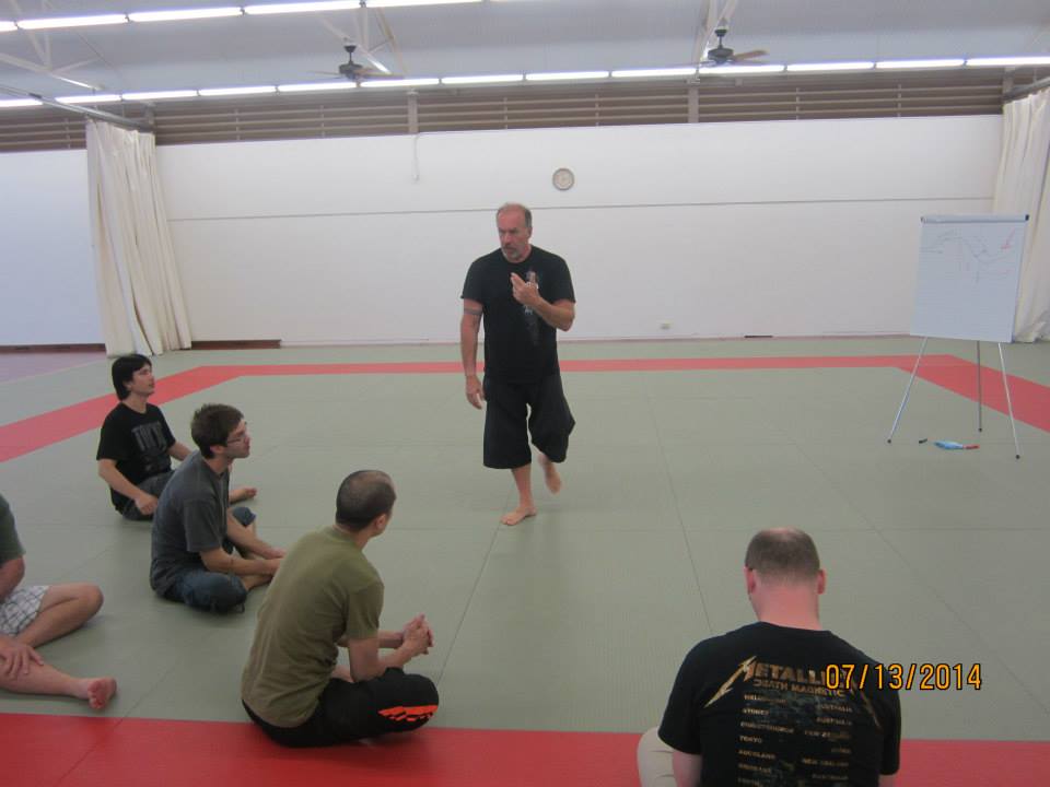 Dan Harden on in Hawaii - Aiki and Internal Power Workshop July 2014