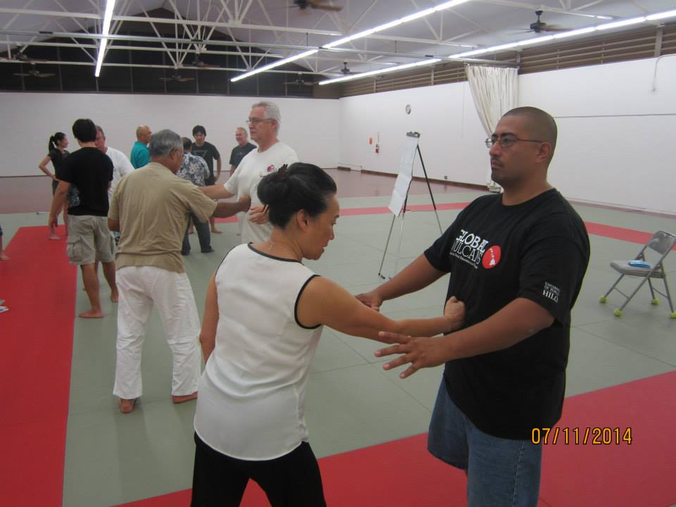 Dan Harden on in Hawaii - Aiki and Internal Power Workshop July 2014