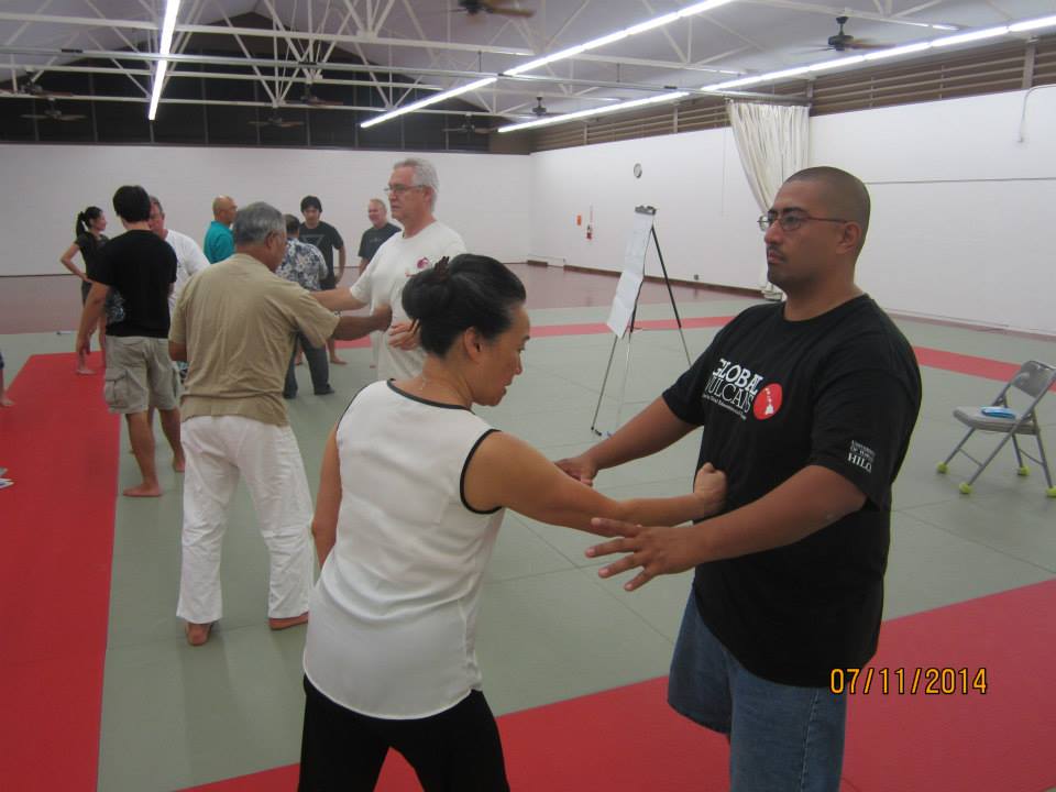 Dan Harden on in Hawaii - Aiki and Internal Power Workshop July 2014