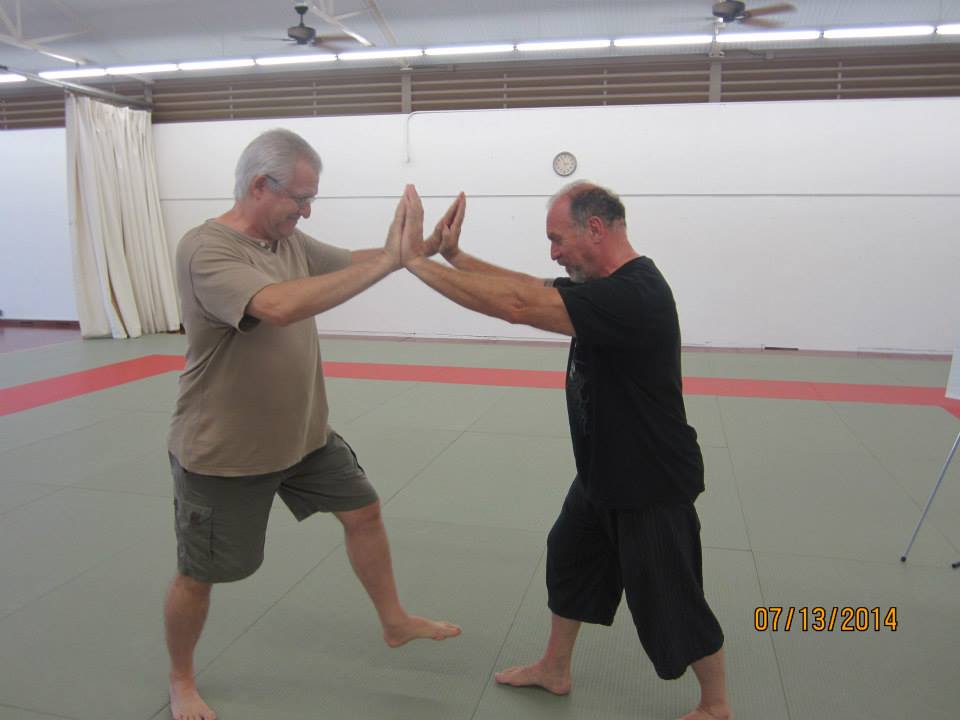 Dan Harden on in Hawaii - Aiki and Internal Power Workshop July 2014