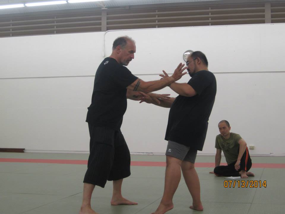 Dan Harden on in Hawaii - Aiki and Internal Power Workshop July 2014