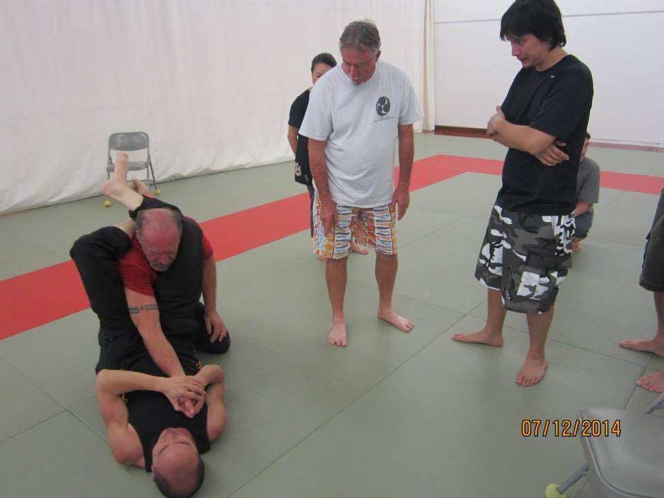 Dan Harden on in Hawaii - Aiki and Internal Power Workshop July 2014