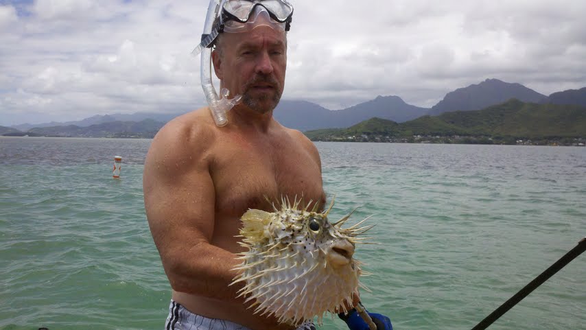 Dan Intimidates a Pufferfish