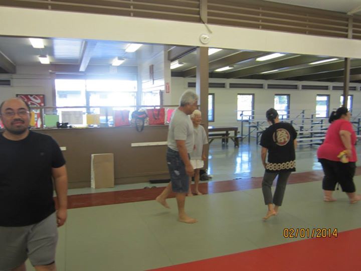 Basic Principles of Aiki and Internal Power workshop in Hilo, Hawaii - hosted by Hilo Seishikan Aikido, February 2nd 2014. hilo-aiki-internal-february-2014-17.jpg