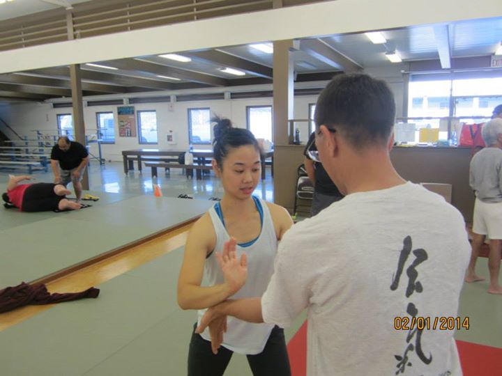 Basic Principles of Aiki and Internal Power workshop in Hilo, Hawaii - hosted by Hilo Seishikan Aikido, February 2nd 2014. hilo-aiki-internal-february-2014-18.jpg