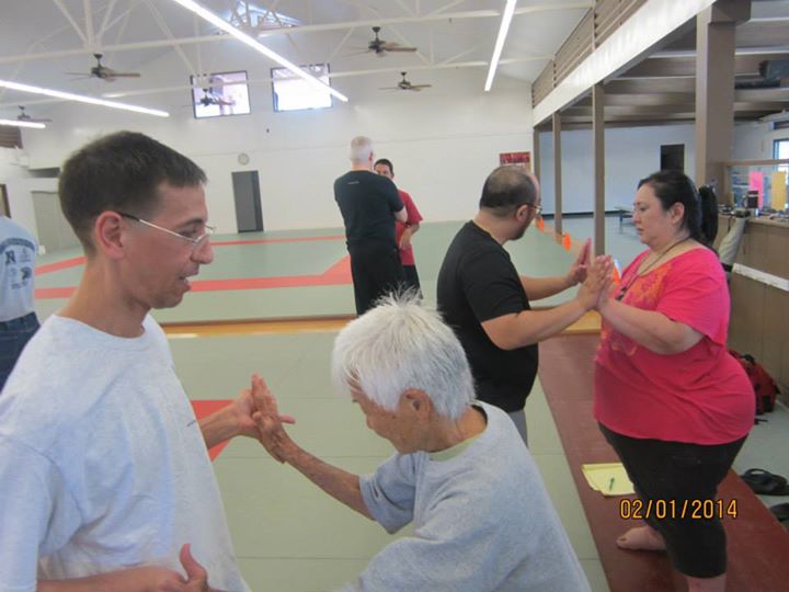Basic Principles of Aiki and Internal Power workshop in Hilo, Hawaii - hosted by Hilo Seishikan Aikido, February 2nd 2014. hilo-aiki-internal-february-2014-41.jpg